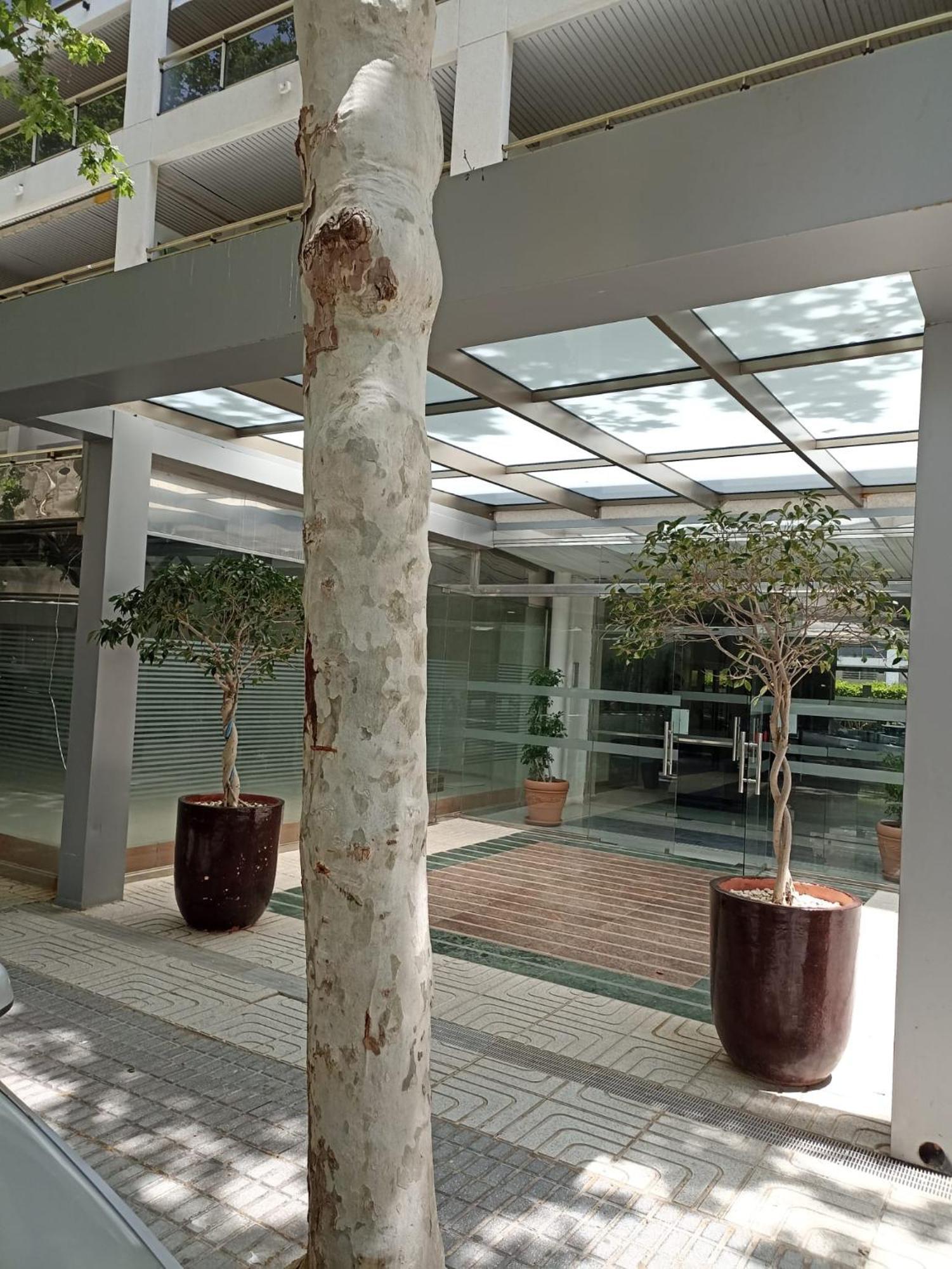 Michelangelo Apartman Salou Kültér fotó